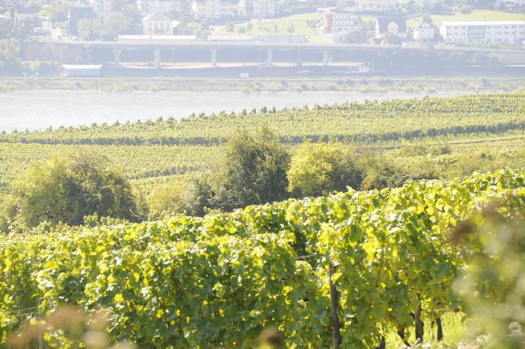 Landgasthof Germania Rüdesheim am Rhein Esterno foto
