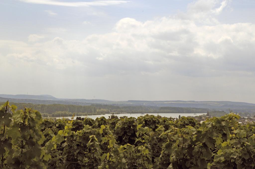 Landgasthof Germania Rüdesheim am Rhein Esterno foto